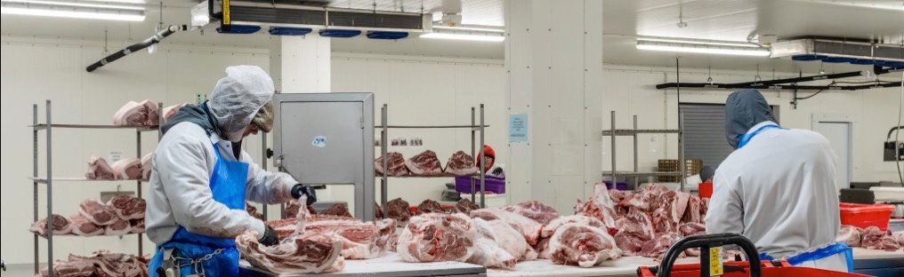 Panoramic view of the Princeton facility — production floor in motion