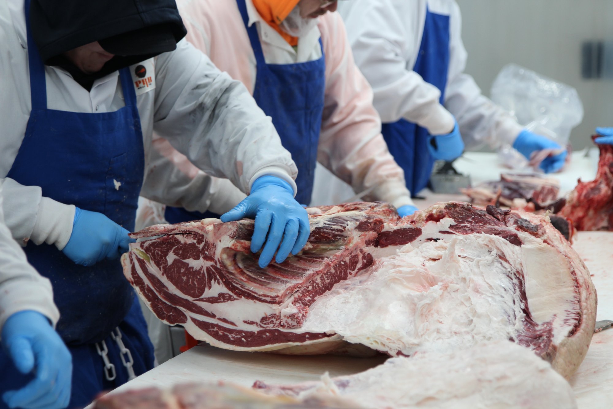 Two BFB butchers breaking down a primal — hands-on detail